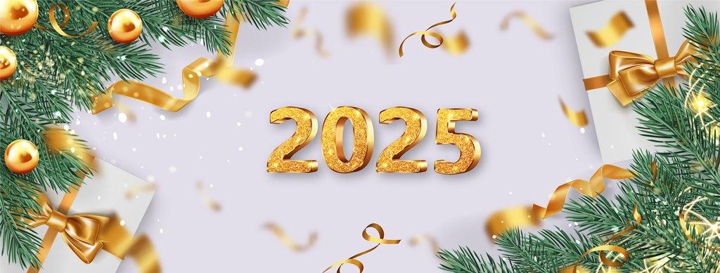 С Новым 2025 годом и Рождеством!.