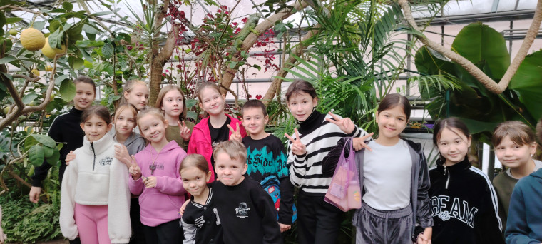 3г в лимонарии.
